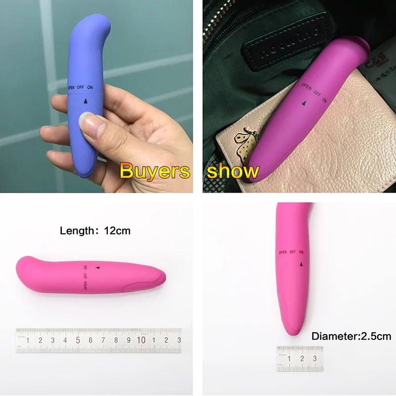 Pocket Dolphin Bullet Vibrator ( C0127 )