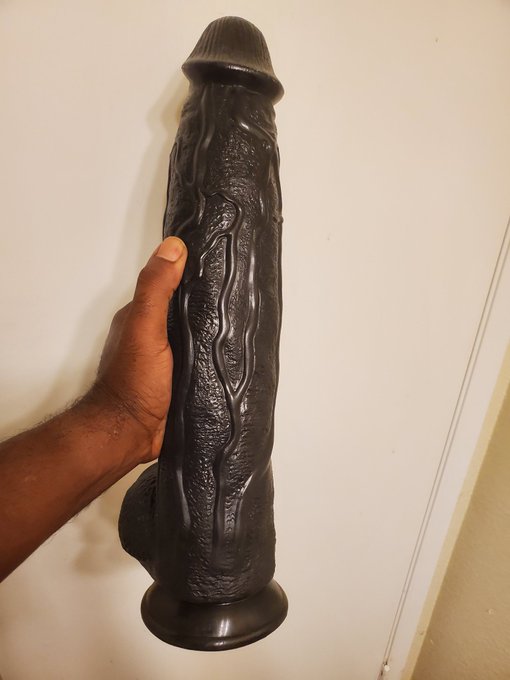 Black Realistic Dildo - 9.8 Inches ( D0802 )